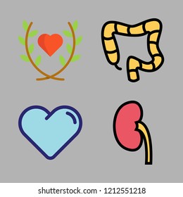organ icon set. vector set about heart, kidney and colon icons set.