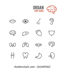 Organ icon set. Vector illustration.