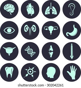 Organ icon set. Vector Illustration, eps 10