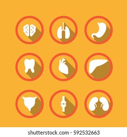 Organ icon set. Vector Illustration