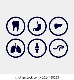 organ icon, vector illustration. tooth, stomach, liver, lungs, bones vectors set