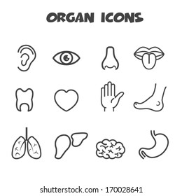 organ icons, mono vector symbols