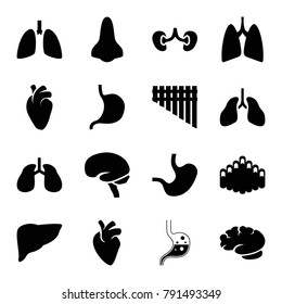 Organ icons. set of 16 editable filled organ icons such as stomach, heart organ, lungs, brain, kidney, harmonica, nose