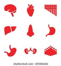 Organ icons set. set of 9 organ filled icons such as nose, stomach, liver, heart organ, brain, kidney