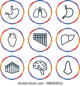 organ icons set. Set of 9 organ outline icons such as nose, stomach, liver, heart organ, lungs, brain