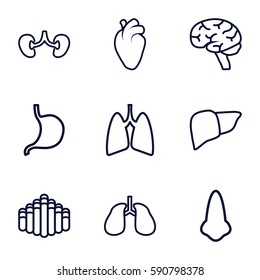 organ icons set. Set of 9 organ outline icons such as nose, stomach, liver, heart organ, lungs, brain, kidney