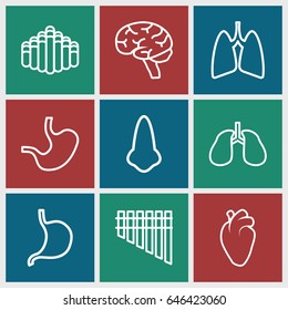 Organ icons set. set of 9 organ outline icons such as nose, stomach, heart organ, lungs, brain