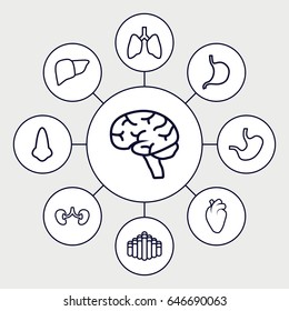 Organ icons set. set of 9 organ outline icons such as nose, stomach, liver, heart organ, brain, kidney, harmonica
