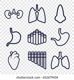 Organ icons set. set of 9 organ outline icons such as nose, stomach, heart organ, kidney, lungs