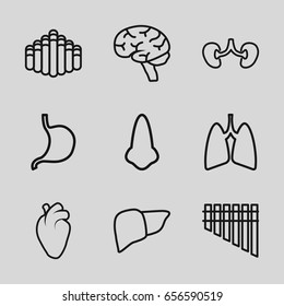 Organ icons set. set of 9 organ outline icons such as nose, stomach, liver, heart organ, brain, kidney, lungs