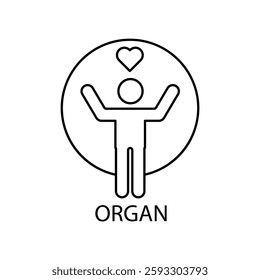 organ icons  symbol vector elements for infographic web
