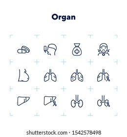Organ line icon set. Set of line icons on white background. Healthcare concept. Stomach, gemma, liver. Vector illustration can be used for topics like medicine, health, treatment