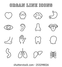 organ line icons, mono vector symbols