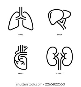 Organ, lung, liver, heart and kidney icons set. Outline style. Vector. Isolate on white background.