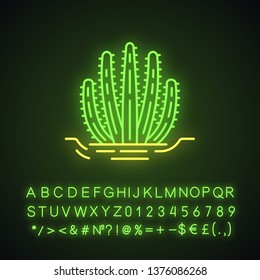 Organ pipe cactus in ground neon light icon. Pitahaya. America native plant. Tropical exotic flora. Glowing sign with alphabet, numbers and symbols. Vector isolated illustration