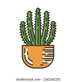 Organ pipe cactus in pot color icon. Pitahaya. America native plant. Home and garden decoration. Isolated vector illustration