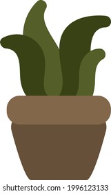 Organ pipe cactus in pot, illustration, on a white background.