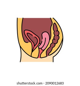 Organ prolapse color line icon. Human diseases. Pictogram for web page, mobile app, promo.