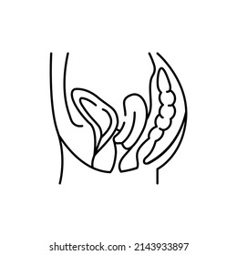 Organ prolapse color line icon. Human diseases. Pictogram for web page, mobile app, promo.