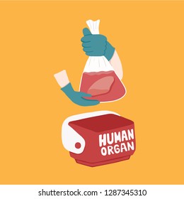 Organ Transplantation Concept - Vector Cooler Box For Human Organs Transportation