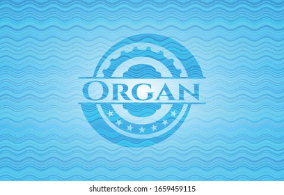 Organ water representation badge background. Vector Illustration. Detailed.