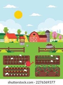 Organic agriculture. Flat design vector illustration of vegetable garden beds, farm and farmhouses .