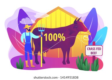 Organic agriculture industry. Eco farming, cattle breeding business. Grass fed beef, grass-finished beef, finest nutrient rich meat concept. Bright vibrant violet vector isolated illustration