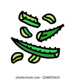 organic aloe vera color icon vector. organic aloe vera sign. isolated symbol illustration