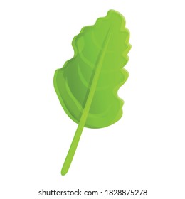 Organic arugula icon. Cartoon of organic arugula vector icon for web design isolated on white background