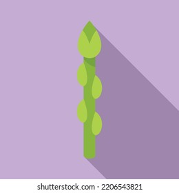 Organic asparagus icon flat vector. Plant bunch. Cooking salad