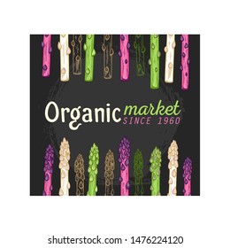 Organic asparagus market hand drawn vector illustration. White, green and purple asparagus sprouts on black background. Fresh and healthy vegetarian food concept. Natural food ingredient