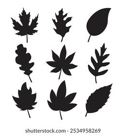 Organic Autumn Leaf Silhouette Vector Illustration