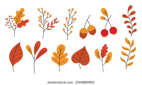 Organic Autumn Leaves collection, element vector