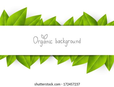Organic background with green leaves