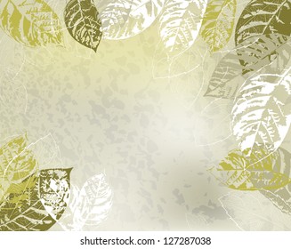 Organic background with leaves