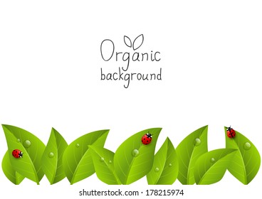 Organic background with place for text