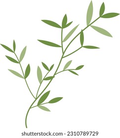 Organic Bamboo Leaves Trees Illustration