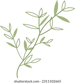 Organic Bamboo Leaves Trees Illustration