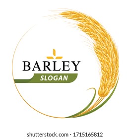 Organic Barley product logo design vector template. Beer wheat logo vector illustration.