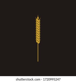 Organic barley spike vector illustration
