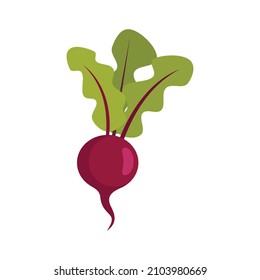 Organic beet icon. Flat illustration of organic beet vector icon isolated on white background