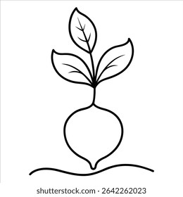 Organic beetroot illustrated using continuous line art drawing style emphasizing simplicity and freshness ideal for natural produce themes or healthy eating visuals