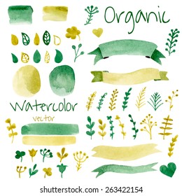 Elementos orgánicos, biológicos, naturales de diseño. Acuarela vectorial vintage en colores verdes. 