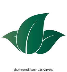 Organic bio vector icon