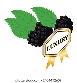 Organic blackberry icon isometric vector. Ripe fresh blackberry and luxury sign. Quality concept, food, organic berry