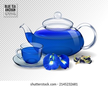 Organic blue tea Anchan, Clitoria, Butterfly Pea. Quality realistic vector, 3d illustration