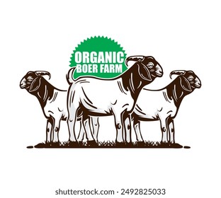 organic boer goat farm logo, silhouette of great am standing vector illustrations
