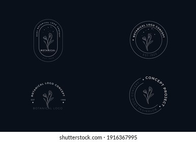 organic botanical minimal natural iconic graphic decor linear simple floral logo design