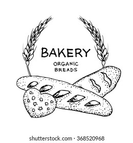 Organic Bread Vintage hand drawn  style bakery set. vector illustration