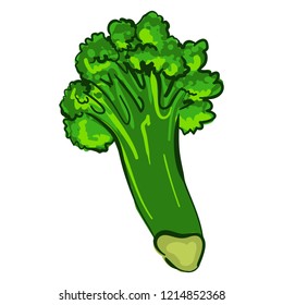 Organic broccoli icon. Cartoon of organic broccoli vector icon for web design isolated on white background